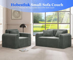 Single Foam Sofa with Pillows Comfy Furry Couch