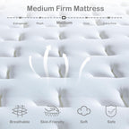 Size Mattress in a Box Hybrid
