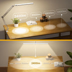 Skyleo LED Desk Lamp Double Head Light