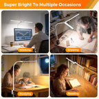 Skyleo LED Desk Lamp Double Head Light