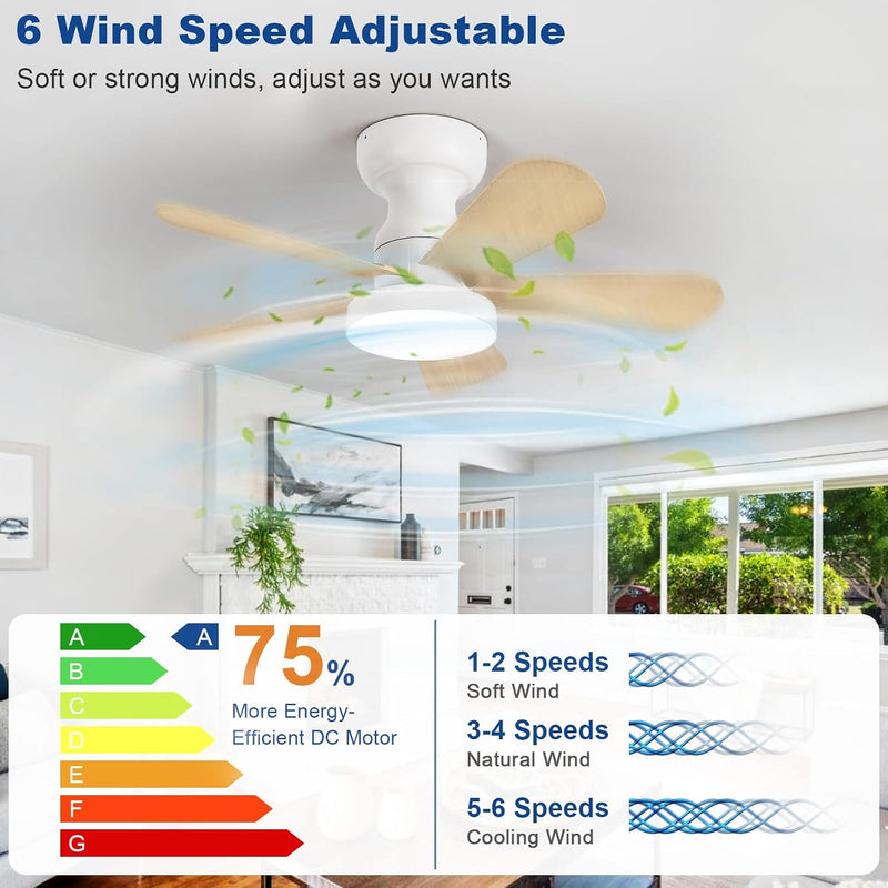 Ceiling Fan with Lights: 28-Inch Flush Mount Light