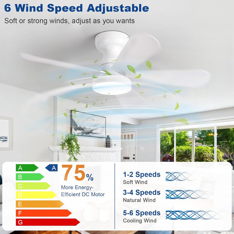 Ceiling Fan with Lights: 28-Inch Flush Mount Light