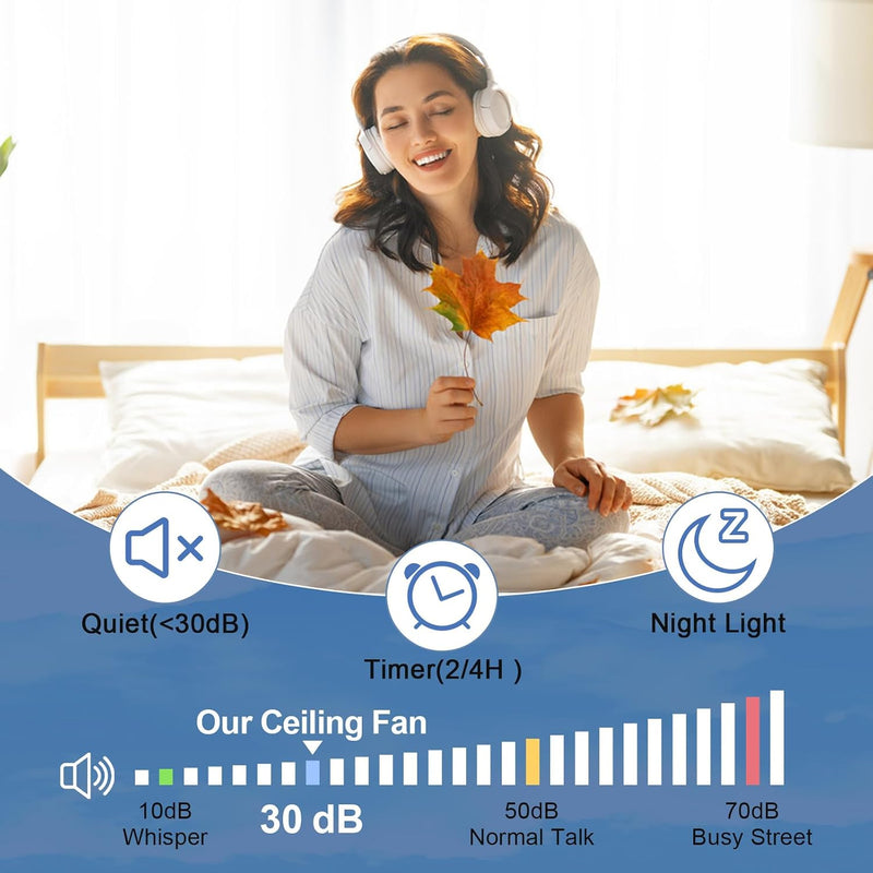 Ceiling Fan with Lights: 28-Inch Flush Mount Light