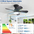 Ceiling Fan with Lights: 28-Inch Flush Mount Light