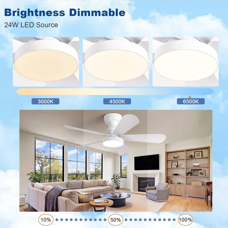 Ceiling Fan with Lights: 28-Inch Flush Mount Light