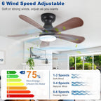 Ceiling Fan with Lights: 28-Inch Flush Mount Light