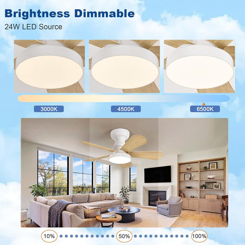 Ceiling Fan with Lights: 28-Inch Flush Mount Light