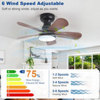Ceiling Fan with Lights: 28-Inch Flush Mount Light