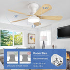 Ceiling Fan with Lights: 28-Inch Flush Mount Light