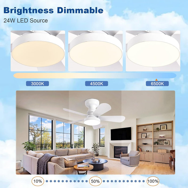 Ceiling Fan with Lights: 28-Inch Flush Mount Light