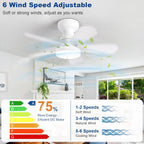 Ceiling Fan with Lights: 28-Inch Flush Mount Light