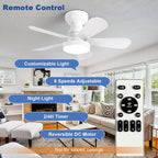 Ceiling Fan with Lights: 28-Inch Flush Mount Light