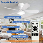 Ceiling Fan with Lights: 28-Inch Flush Mount Light