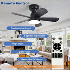 Ceiling Fan with Lights: 28-Inch Flush Mount Light