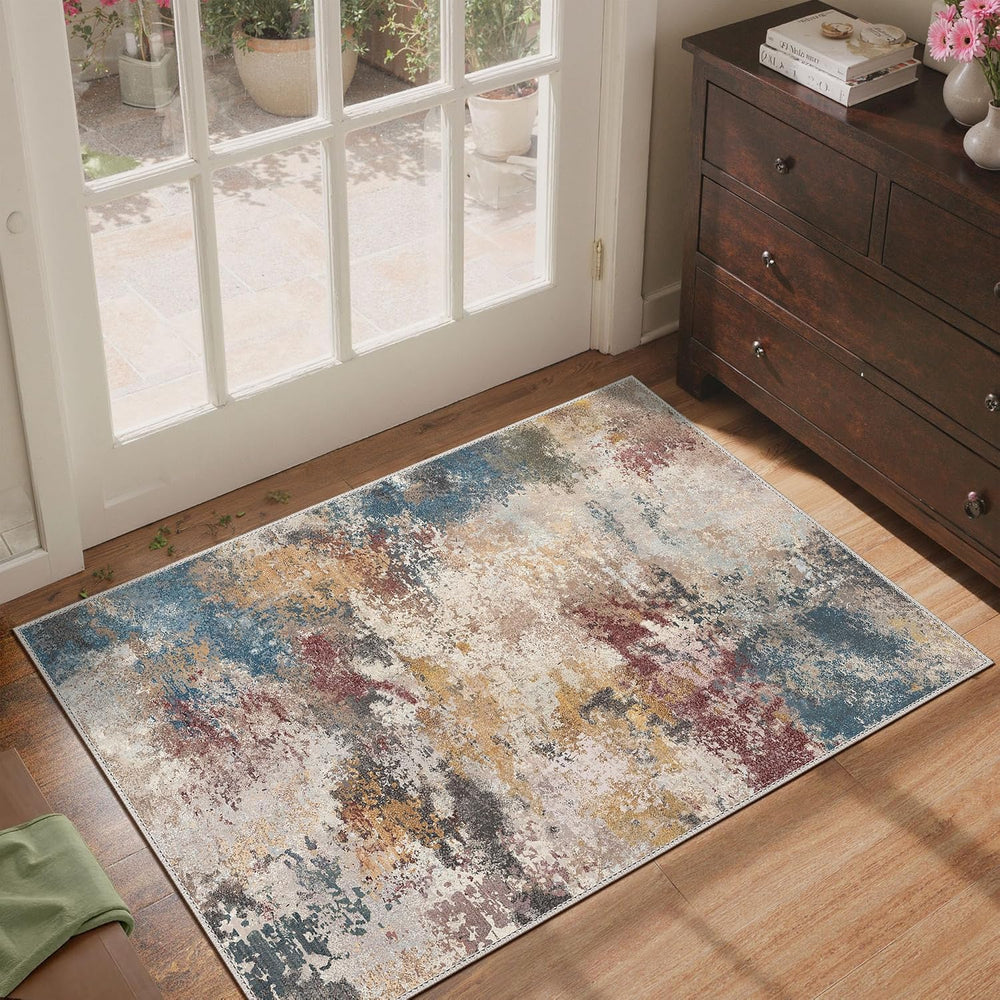 Abstract Rug Doormat Washable Carpet