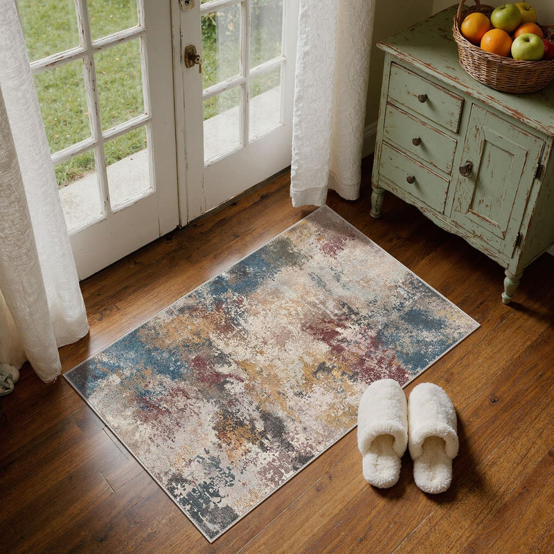 Abstract Rug Doormat Washable Carpet