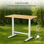 Small Standing Desk with Wheels Pneumatic Height