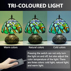 Small Tiffany Lamp Dragonfly 3 Colour Temperatures Mushroom