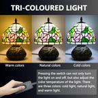 Small Tiffany Lamp Dragonfly 3 Colour Temperatures Mushroom