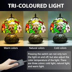 Small Tiffany Lamp Dragonfly 3 Colour Temperatures Mushroom