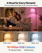 Smart RGB Arc Floor Lamp App Control