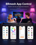 Smart RGB Arc Floor Lamp App Control