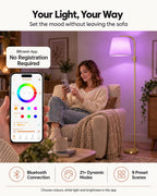 Smart RGB Arc Floor Lamp App Control