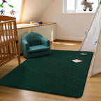 Soft Area Rugs for Living Room Fluffy Carpet