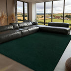 Soft Area Rugs for Living Room Fluffy Carpet