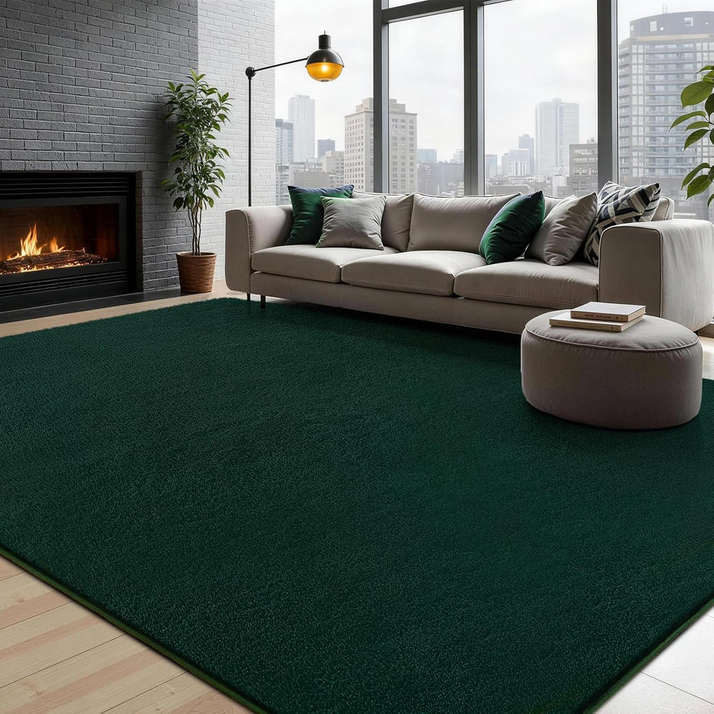 Soft Area Rugs for Living Room Fluffy Carpet