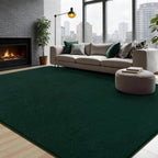 Soft Area Rugs for Living Room Fluffy Carpet