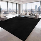 Soft Area Rugs for Living Room Fluffy Large