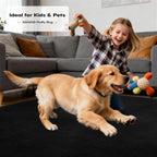 Soft Area Rugs for Living Room Fluffy Large