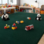 Soft Area Rugs for Living Room Fluffy Large