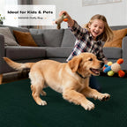 Soft Area Rugs for Living Room Fluffy Large