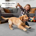 Soft Area Rugs for Living Room Fluffy Large