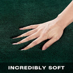 Soft Area Rugs for Living Room Fluffy Large