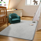 Soft Area Rugs for Living Room Fluffy Large