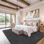 Soft Area Rugs for Living Room Fluffy Large