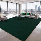 Soft Area Rugs for Living Room Fluffy Large
