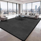 Soft Area Rugs for Living Room Fluffy Large
