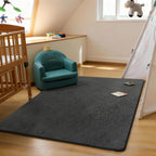 Soft Area Rugs for Living Room Fluffy Large