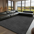 Soft Area Rugs for Living Room Fluffy Large