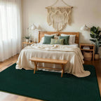 Soft Area Rugs for Living Room Fluffy Large
