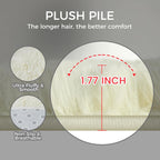 Soft Area Rugs for Living Room Fluffy Plush