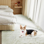 Soft Area Rugs for Living Room Fluffy Plush