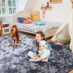 Soft Area Rugs for Living Room Fluffy Plush