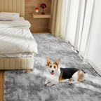 Soft Area Rugs for Living Room Fluffy Plush