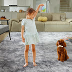 Soft Area Rugs for Living Room Fluffy Plush