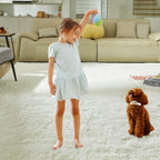 Soft Area Rugs for Living Room Fluffy Plush
